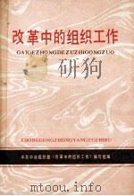 改革中的组织工作   1988  PDF电子版封面  7301005571  曹志主编；中共中央组织部《改革中的组织工作》编辑组编 