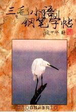 三毛小语钢笔字帖   1994  PDF电子版封面  7805950555  张文海书 