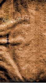 曾文正公全集  41  十八家诗钞  第20册（ PDF版）