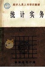 统计实务（ PDF版）