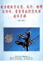 电力绝缘子选型、运行、检修及污闪、雷害事故防范处理技术手册  第2卷（ PDF版）