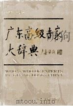 广东高级专家大辞典 1 1994 PDF电子版封面 7218014240 韩本学总编辑;广东高级专家大辞典编委会编