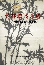 竹林腾飞之路 竹林村改革开放十年 1993 PDF电子版封面 7503507411 孙保定,张留记主编;张林南,郝光兴副主编