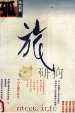 孤旅 1993 PDF电子版封面 7534811376 杨吉哲著