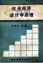 社会经济统计学原理 1993 PDF电子版封面 7805452415 王凤山主编;陈云玲,刘荣阁,王晓慧副主编