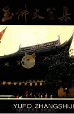玉佛丈室集 8 1994 PDF电子版封面 780574095X 真禅著