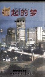 崛起的梦 1994 PDF电子版封面 781029332X 钟逸人著