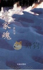 客家魂 1994 PDF电子版封面 7536019718 谭元亨著