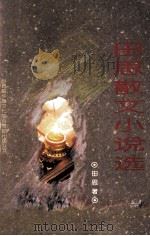 田思散文小说选   1996  PDF电子版封面    田思著 