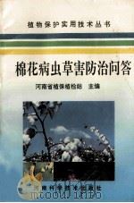棉花病虫草害防治问答 1994 PDF电子版封面 7534913446 河南省植保植检站主编