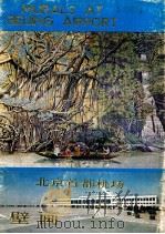 北京首都机场壁画 1980 PDF电子版封面 8027·7383 北京首都机场供稿
