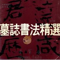 墓志书法精选 第10册 崔景播墓志、秘丹墓志 1992 PDF电子版封面 7500301200 荣宝斋编辑部