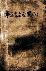 鲁迅杂文全编 上编 1993 PDF电子版封面 753390558X 鲁迅著;王得后,钱理群编
