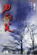 刀剑笑 卷14 1998 PDF电子版封面 7542104840 黄易著