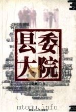 县委大院 1999 PDF电子版封面 7207041527 金林著