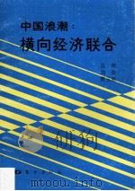 中国浪潮 横向经济联合 1989 PDF电子版封面 750600997 范英等