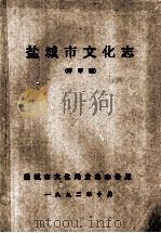 盐城市文化志 评审稿 1992 PDF电子版封面 王岗主编;孔兰生副主编;刘云,张铨,李忠诚等编