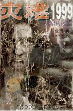 灾难1999 1997 PDF电子版封面 7221043299 麦端