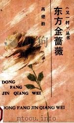 东方金蔷薇 1991 PDF电子版封面 7541919284 高建群著