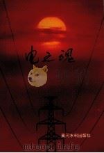 电之魂 1994 PDF电子版封面 7806210016 河南省电力工业局编;吴铁铮主编;丁连魁,芮斯珏副主编