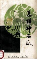 怎样种西瓜 第2版 1984 PDF电子版封面 16119·602 上海市农科院地园艺所编