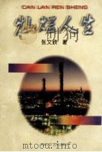 灿烂人生 1998 PDF电子版封面 7530626434 张文欣著