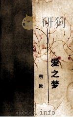 爱之梦 1993 PDF电子版封面 7541935379 朔原著