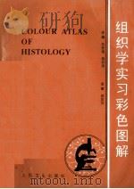 组织学实习彩色图解 1998 PDF电子版封面 7117018704 胡登焜,杨状来主编;高英茂主审