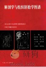 解剖学与组织胚胎学图谱 1995 PDF电子版封面 7117022825 赵同光等主编