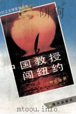 中国教授闯纽约 1993 PDF电子版封面 7805427267 何启治著