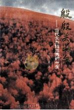 殷殷关山血 当代女杰陆兰秀的一生 1993 PDF电子版封面 7214011077 丁群著