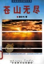 苍山无尽 1996 PDF电子版封面 7805798001 詹谷丰著