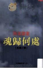 魂归何处 1997 PDF电子版封面 962160057X 孙涤灵著