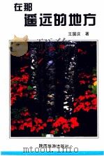 在那遥远的地方 1994 PDF电子版封面 7541806803 王国庆著