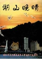 湖山晚晴 武汉市东西湖区老年大学建校十五周年 PDF电子版封面
