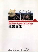 东西湖区争创湖北省文明城区 成果展示 PDF电子版封面