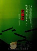 汉水河畔·徽风古韵第一村 石榴红 武汉市东西湖区慈惠街道办事处农村新貌 PDF电子版封面