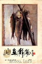 油画静物  第2集（1986 PDF版）