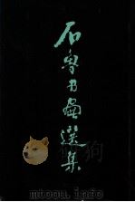 石鲁书画选集 1985 PDF电子版封面 8233718 石鲁绘