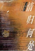 情归何处 1993 PDF电子版封面 7805792895 谭秋莲著