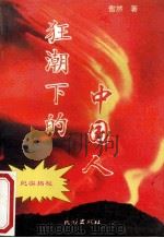 狂潮下的中国人 1993 PDF电子版封面 7105019697 傲然著