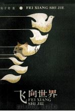 飞向世界 1989 PDF电子版封面 7540404868 朱子奇著
