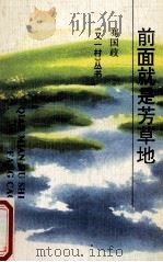前面就是芳草地 1993 PDF电子版封面 754193190X 骞国政著