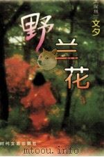野兰花  下   1995  PDF电子版封面  753870938X  （深圳）文夕 