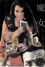 魔女 1988 PDF电子版封面 7531302020 (日)石桃泽耕史著;李涛,王雨译