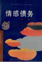 情感债务   1991  PDF电子版封面  7222008586  汤世杰著 