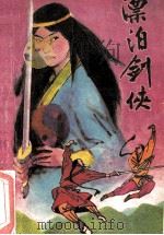 漂泊剑侠 1988 PDF电子版封面 7504000388 维芳华伟著