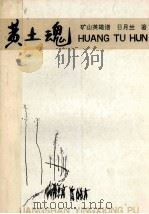 黄土魂 1991 PDF电子版封面 7810215884 日月兰著