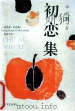 初恋集 1992 PDF电子版封面 7541108960 应﹩著