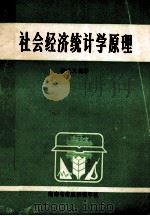社会经济统计学原理 1990 PDF电子版封面 杨瑞文编著